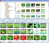 Photo to Video Converter Professional screenshot